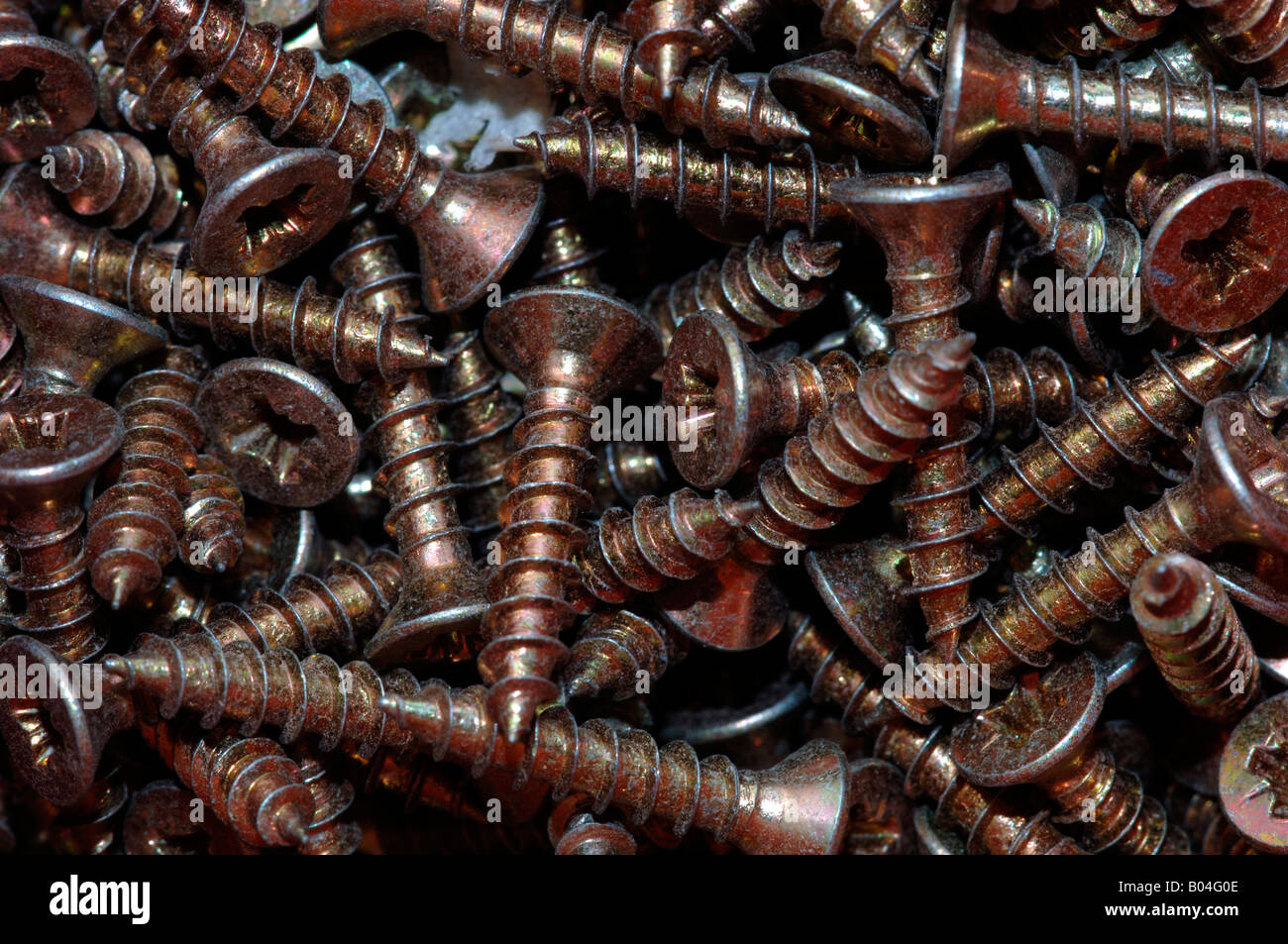 Screws In A Tool Box Stock Photo Alamy
