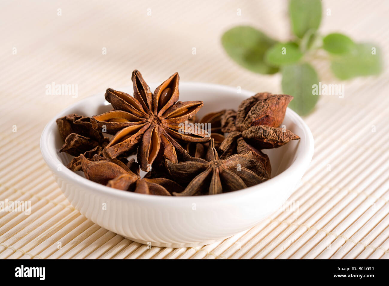dried star anise in small white china bowl on straw mat, garnisched with leaves Stock Photo
