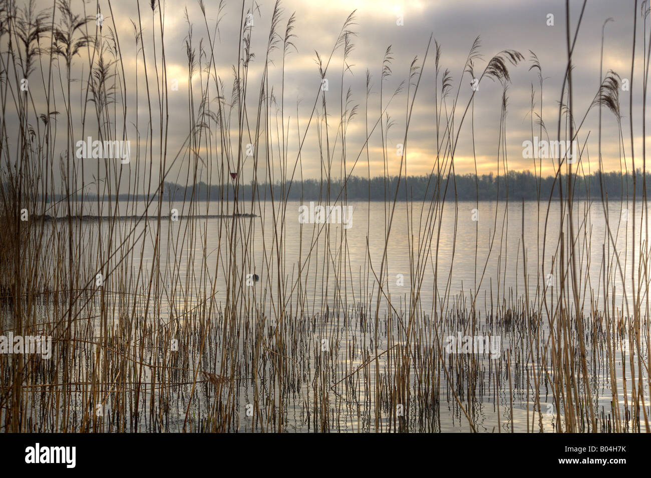 Early morning landscape along the river Nieuwe Merwede, Biesbosch NP, Holland Stock Photo