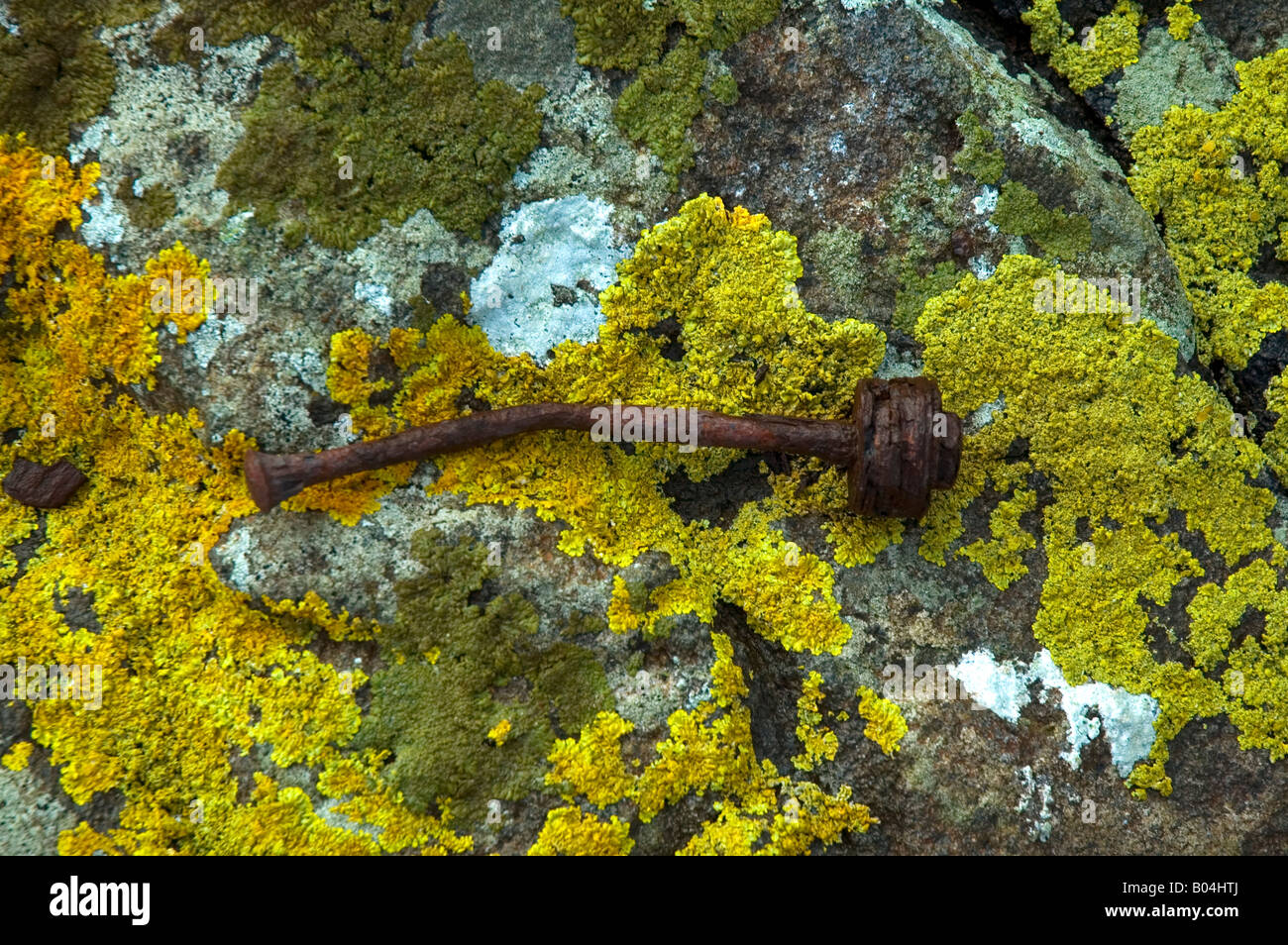 Yellow lichen and rust covered piece of metal on rocks, Isle of Skye, Scotland, UK Stock Photo