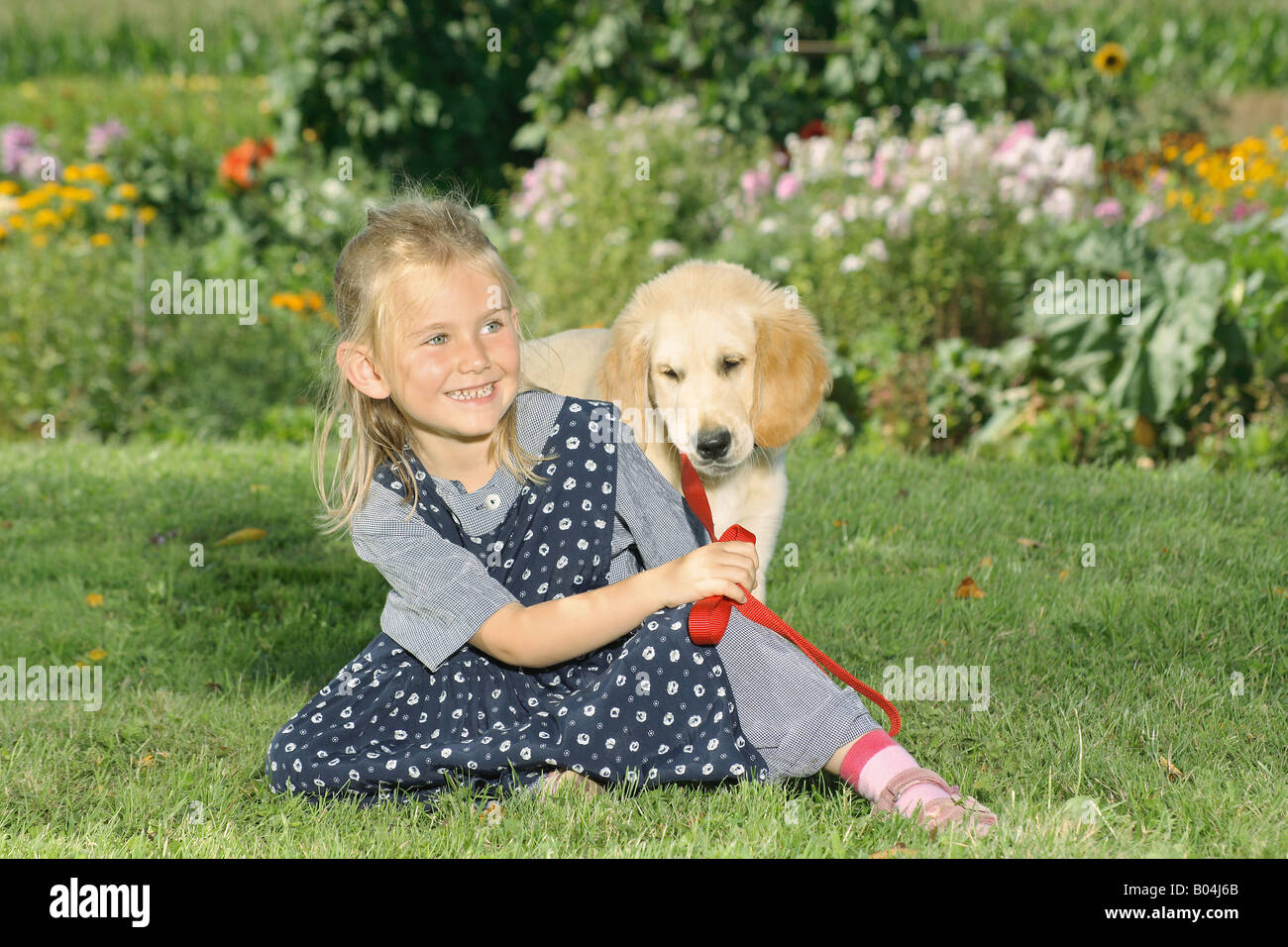 girl and young Golden Retriever in the garden Stock Photo - Alamy