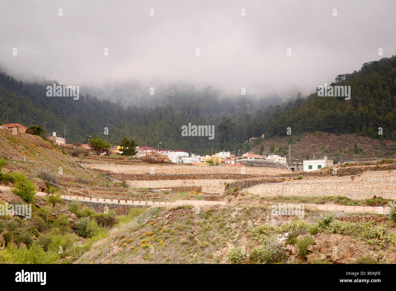 The village of Vilaflor, Tenerife, with clouds decending on the pine forest above Stock Photo