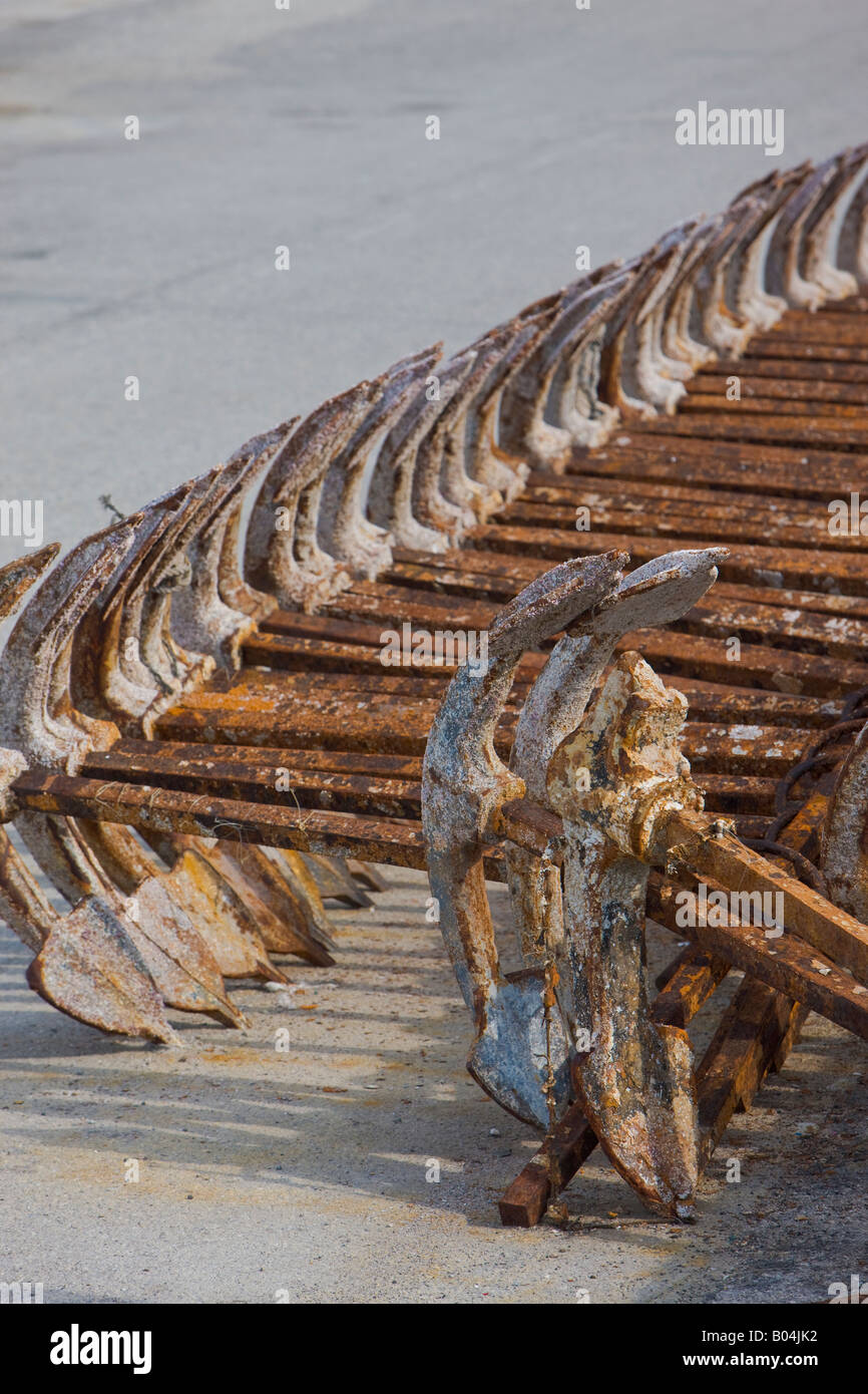 Rows of rusty anchors lying on the wharf in the town of Tarifa, Costa de la Luz, Province of Cadiz, Andalusia (Andalucia). Stock Photo