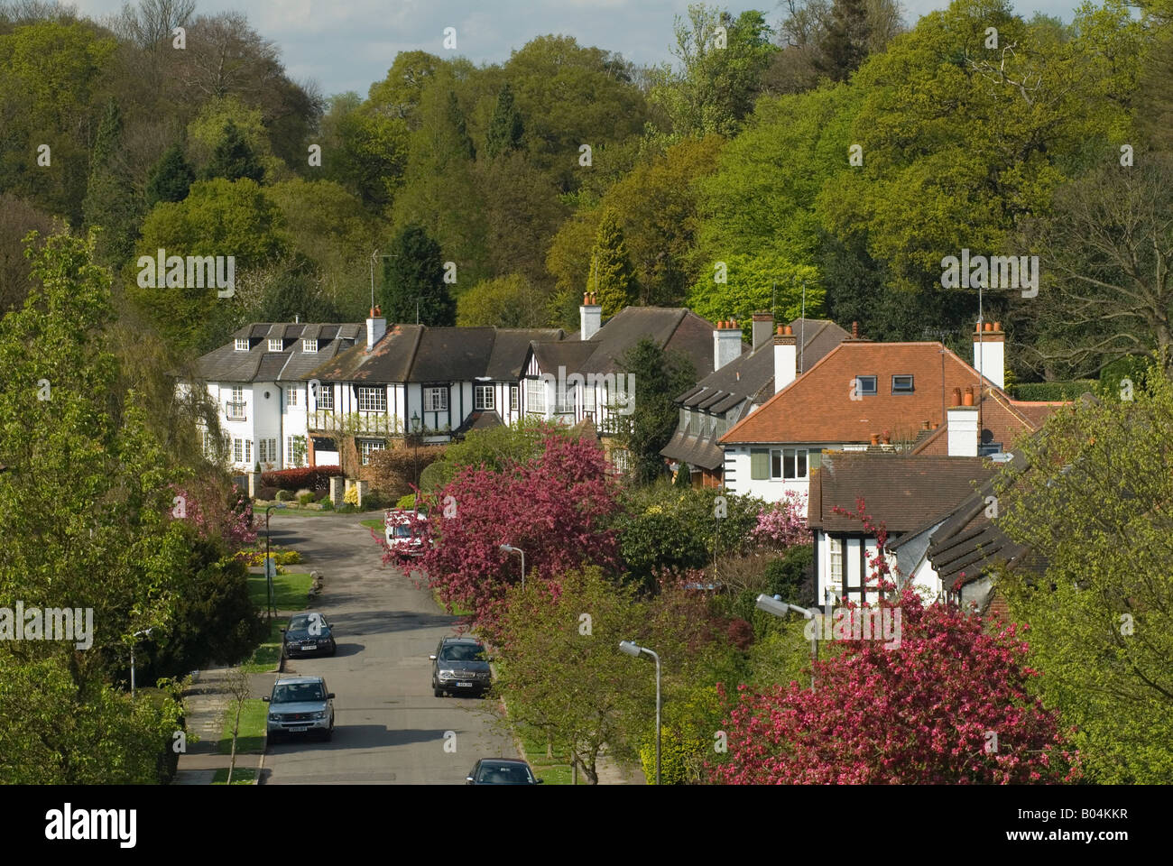 Wimbledon Village large detached family house UK. Backing onto