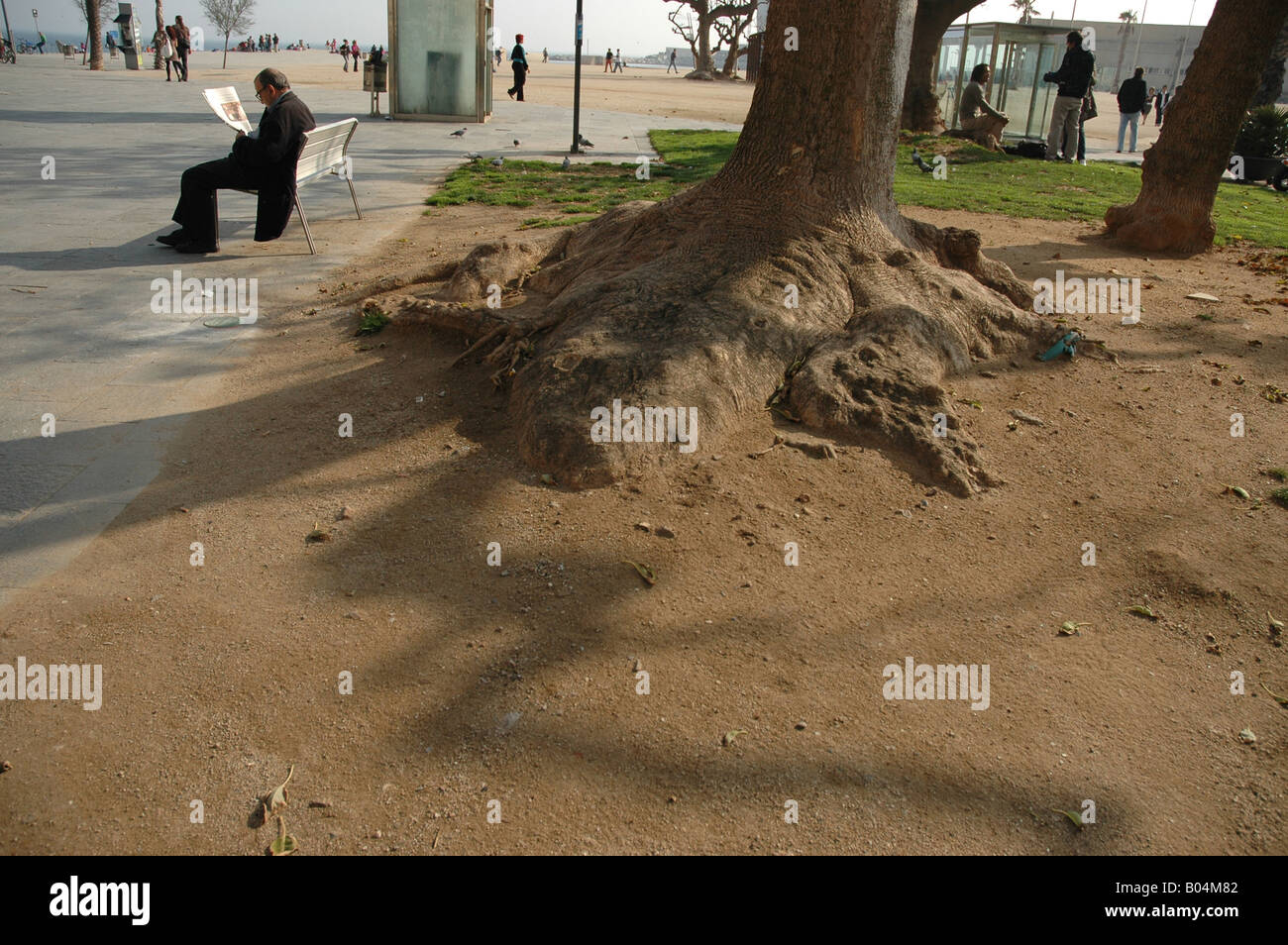 Strand beach sands strand Baumstamm tree trunk Mann  man Stock Photo
