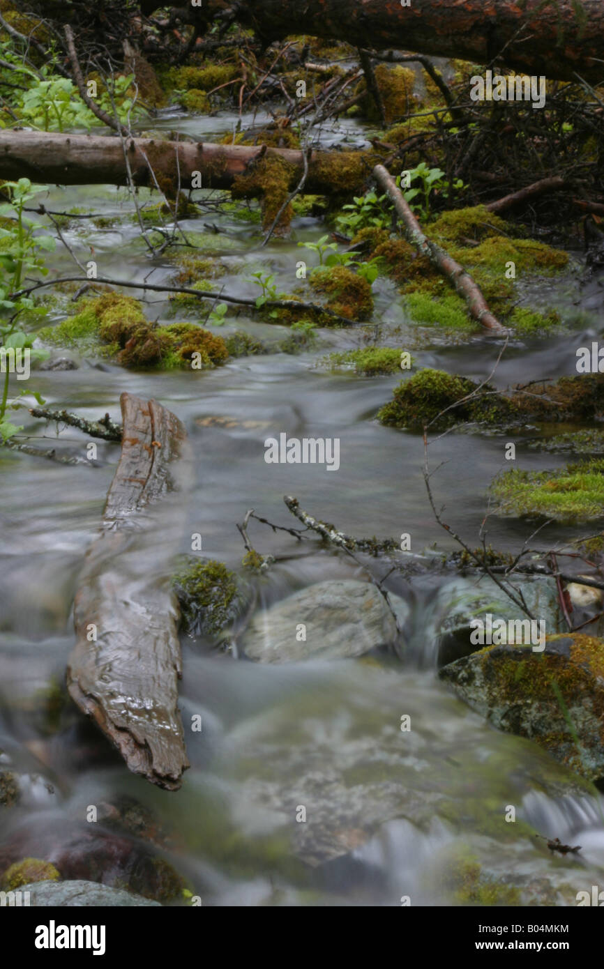 Stream water flowing through rocks hi-res stock photography and images ...