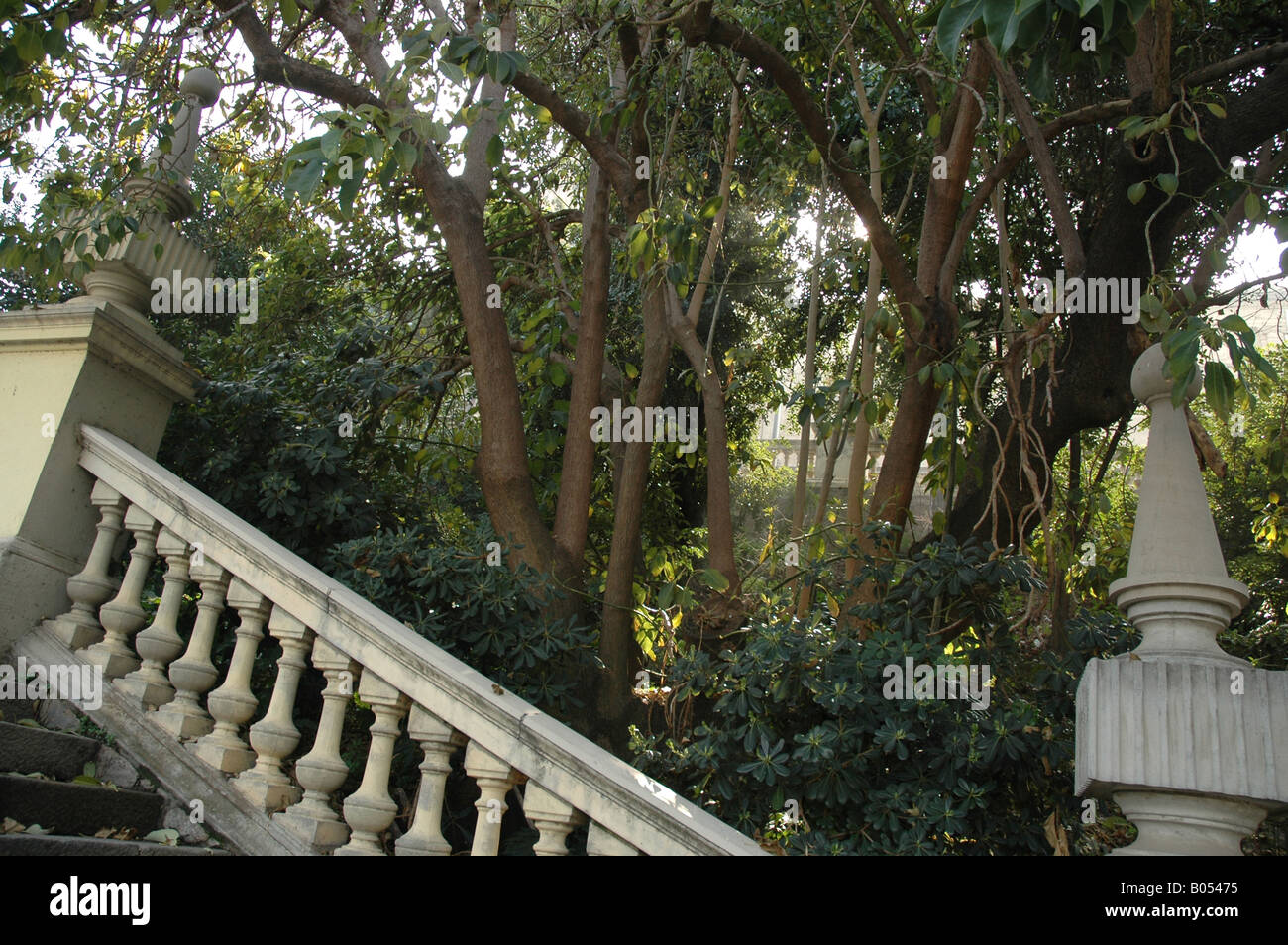 Palau Nacional Palast palace Treppe stairs Stock Photo