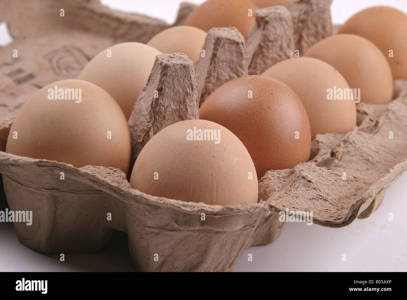 Duck egg cartons Cut Out Stock Images & Pictures - Alamy