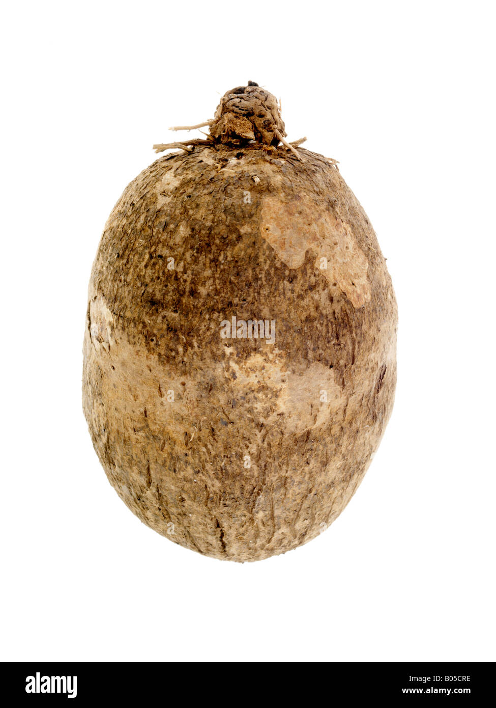 Yam and potato hires stock photography and images Alamy