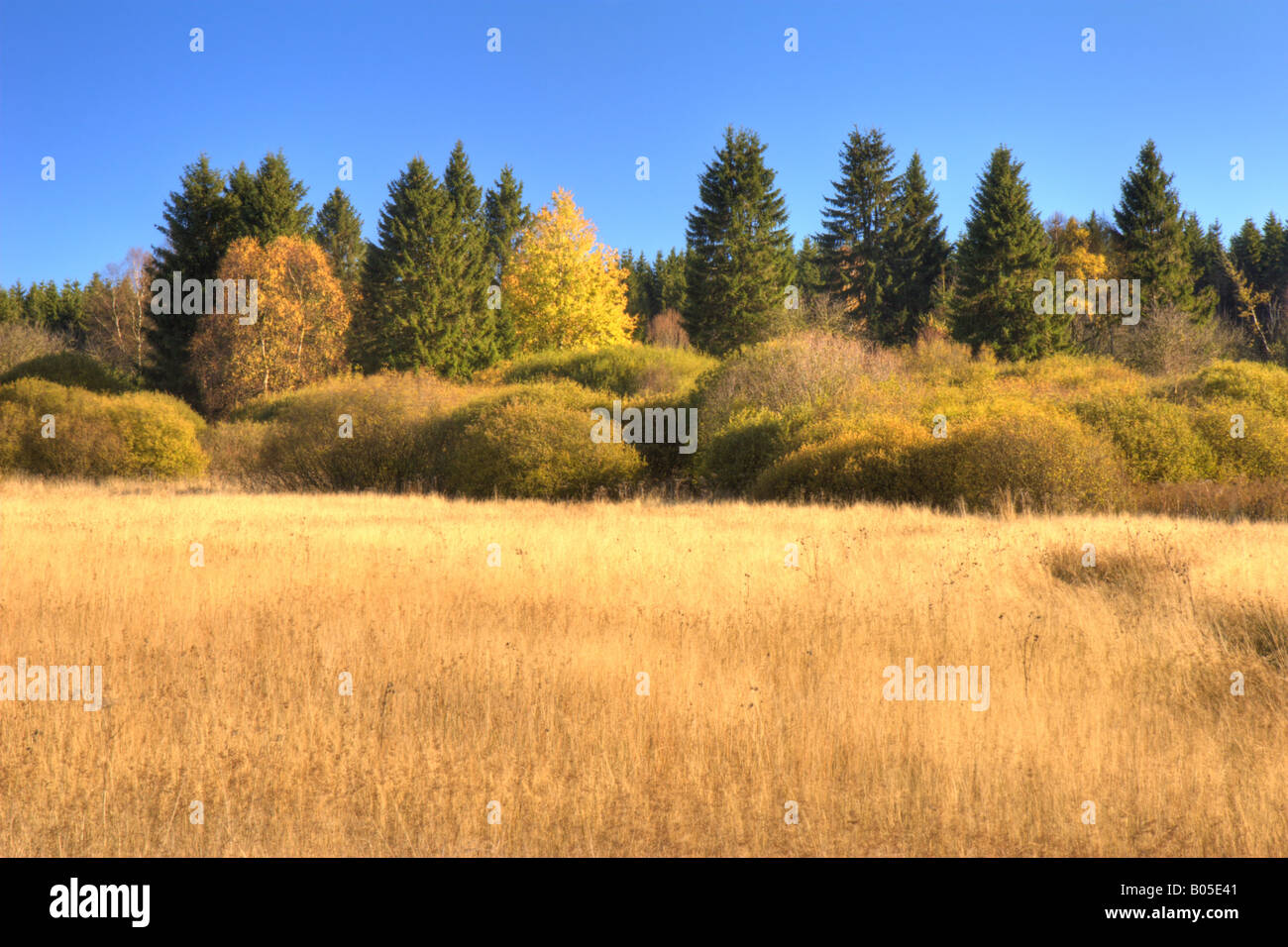 Landscap Format High Resolution Stock Photography and Images - Alamy