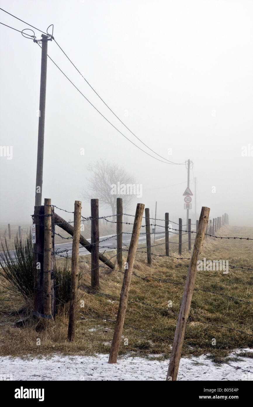 country road with power pole and fog, Germany, Rhineland-Palatinate, Eifel Stock Photo