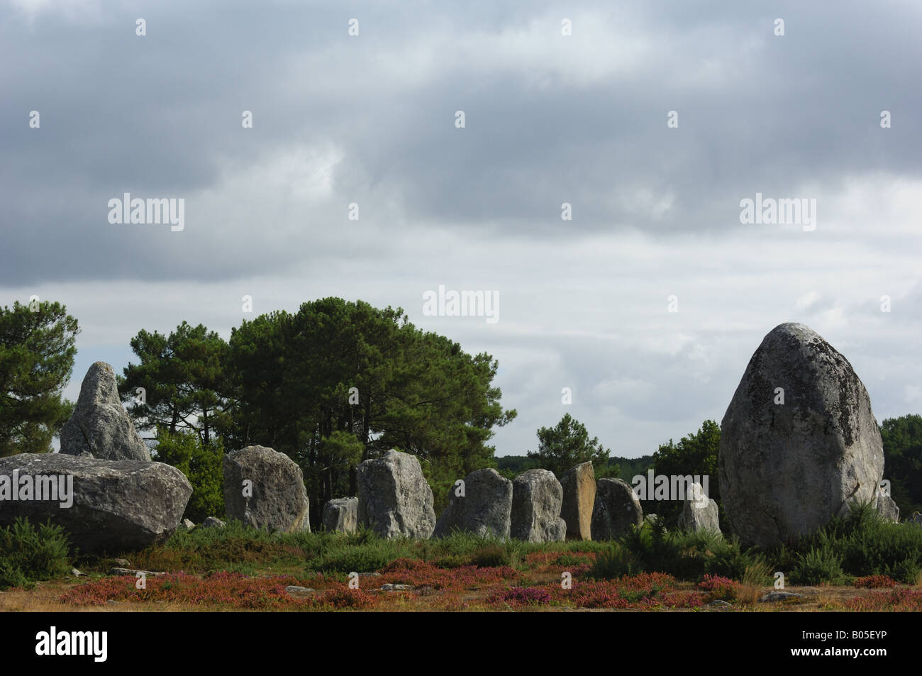menhirs, France, Brittany, Carnac Stock Photo - Alamy