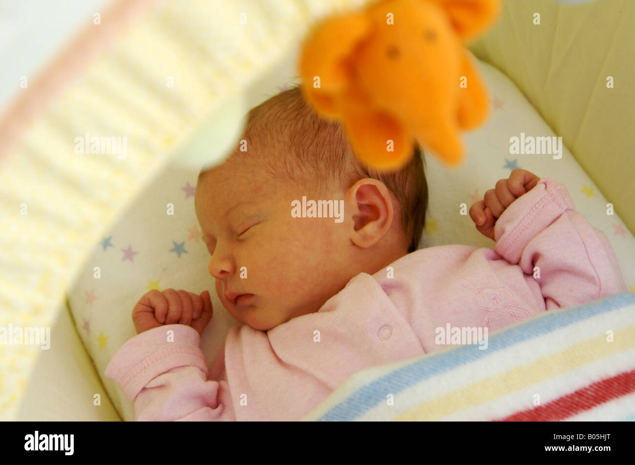 newborn baby in moses basket Stock Photo