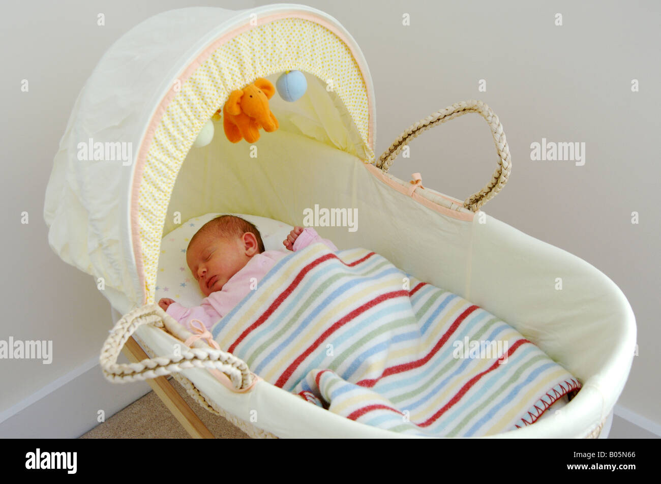 Newborn baby in Moses basket Stock Photo