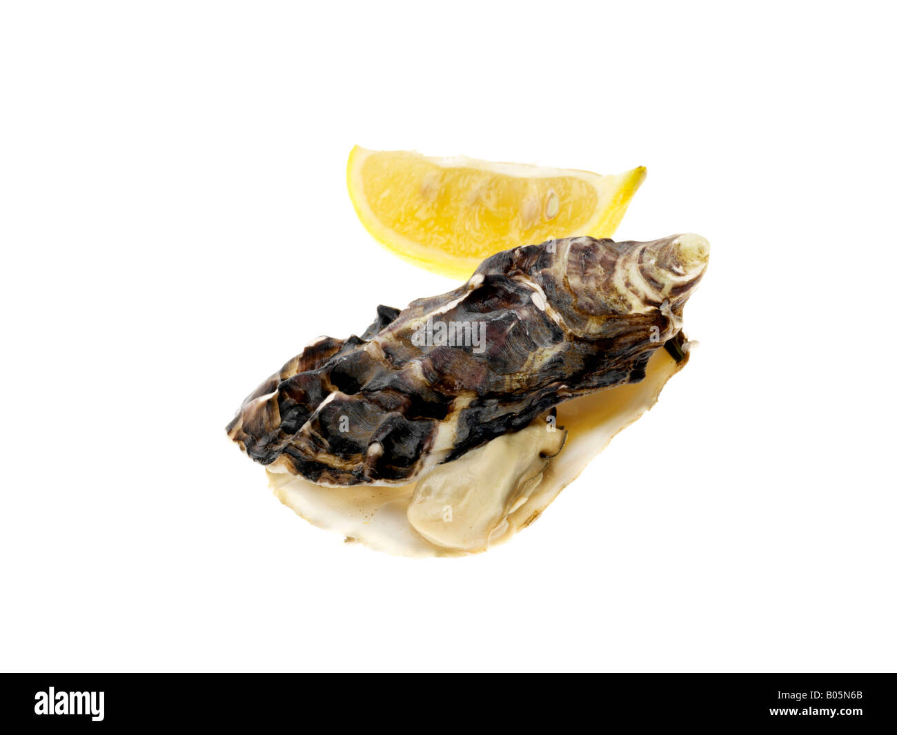 Oyster with Lemon Stock Photo Alamy