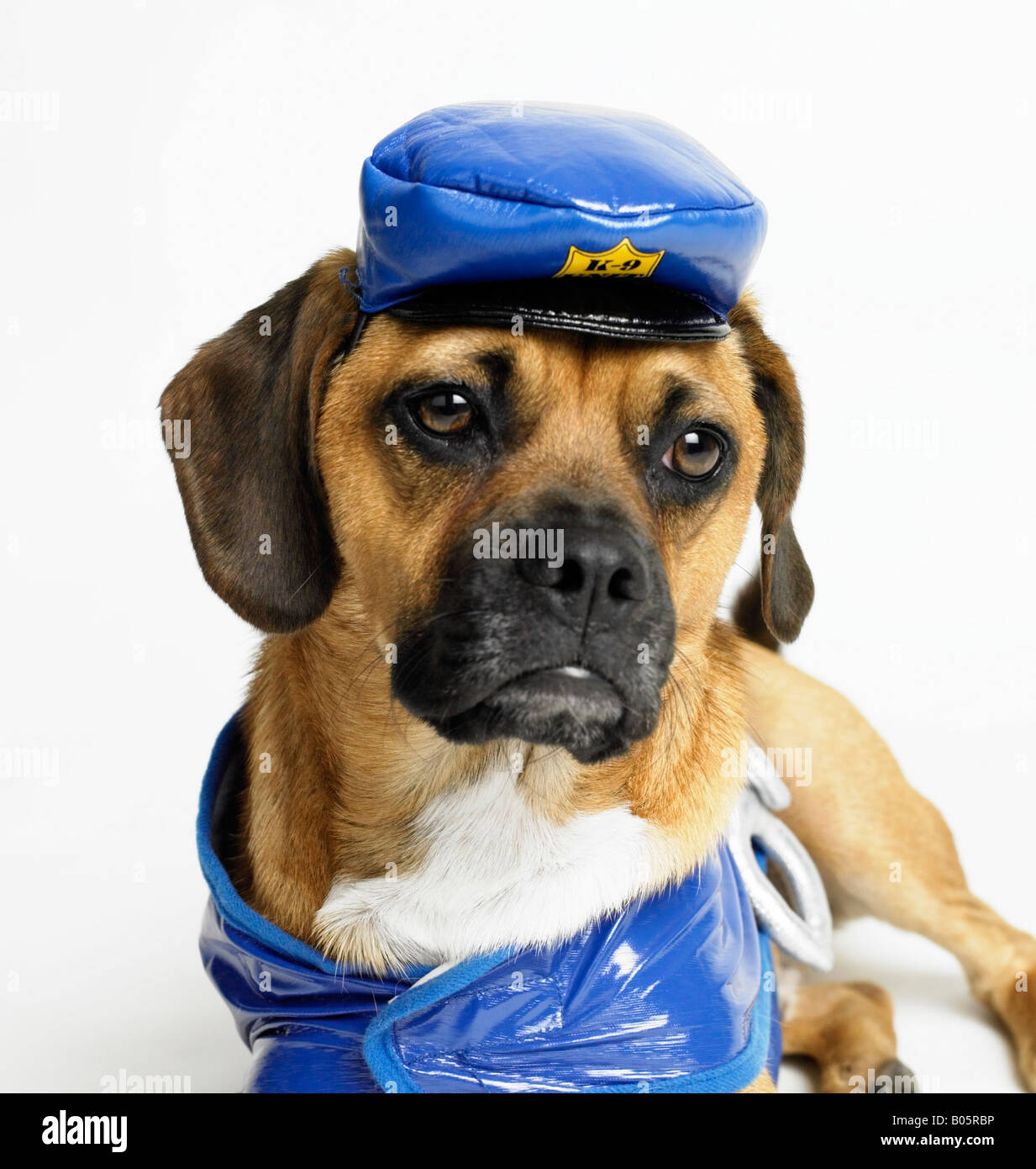 Humanize hires stock photography and images Alamy