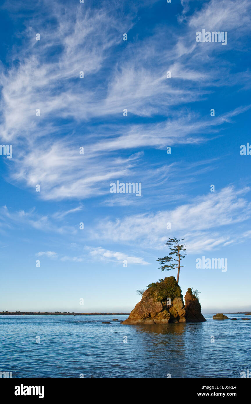 Sea stack with tree one of the Three Graces Tillamook Bay Northern Oregon coast Stock Photo