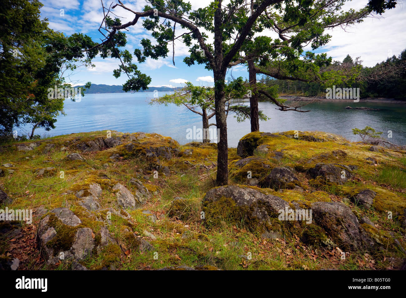 Helliwell Provincial Park On Hornby Island Stock Photo - Alamy