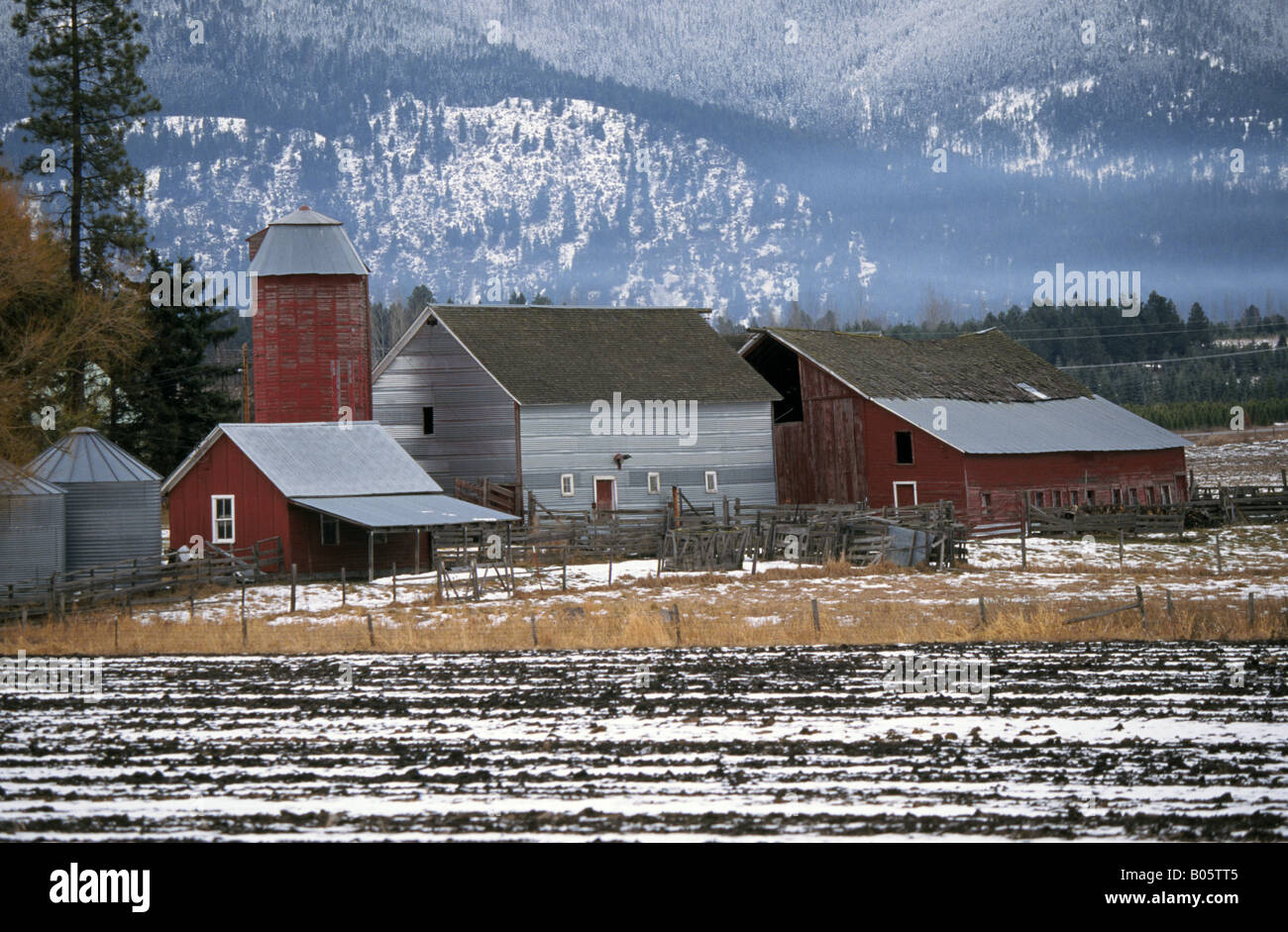 A farm below the mountain slopes in mid winter in the Flathead Valley