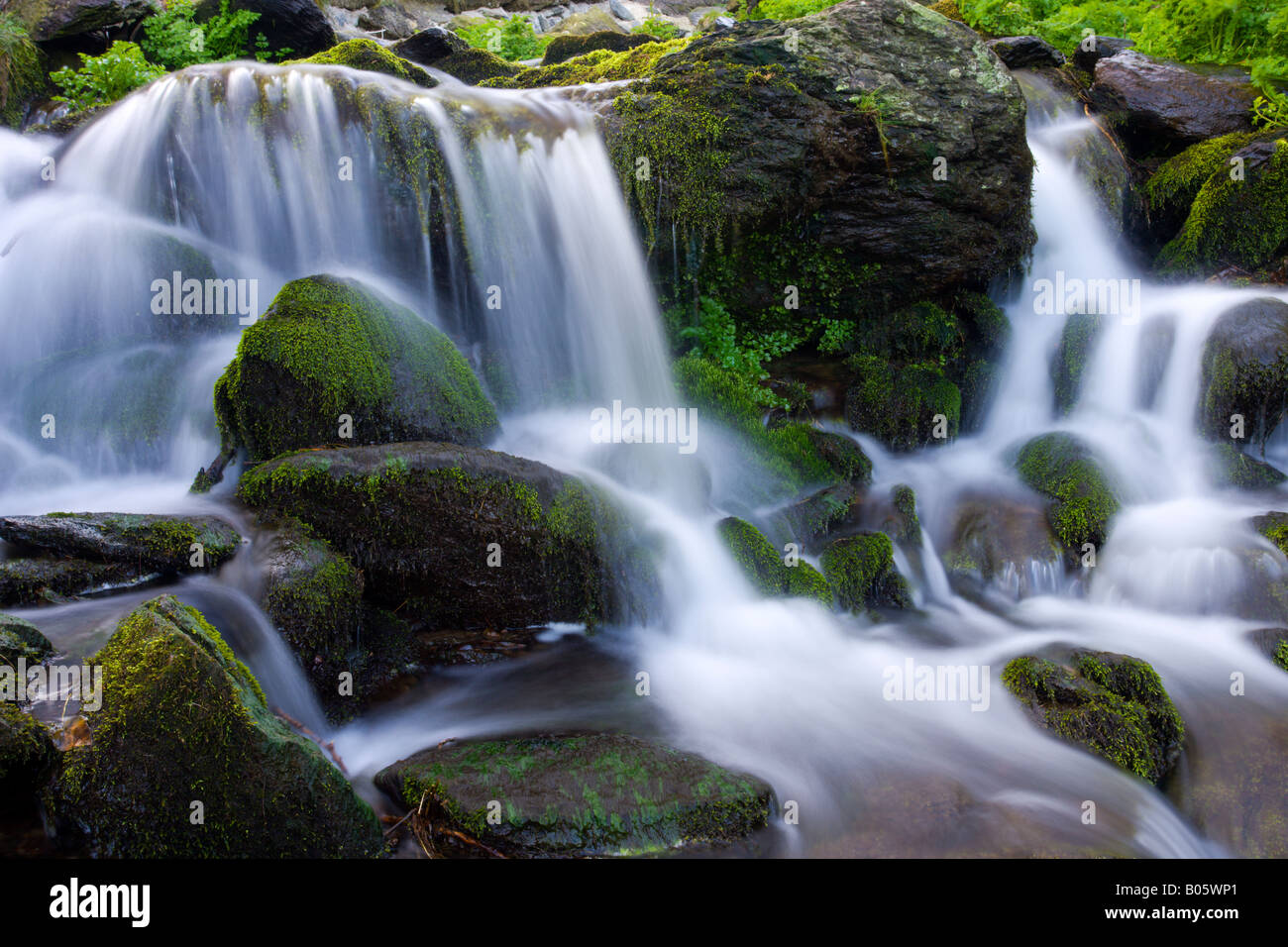 Waterfalls in a tumbling strem in Exmoor National Park Devon Stock Photo