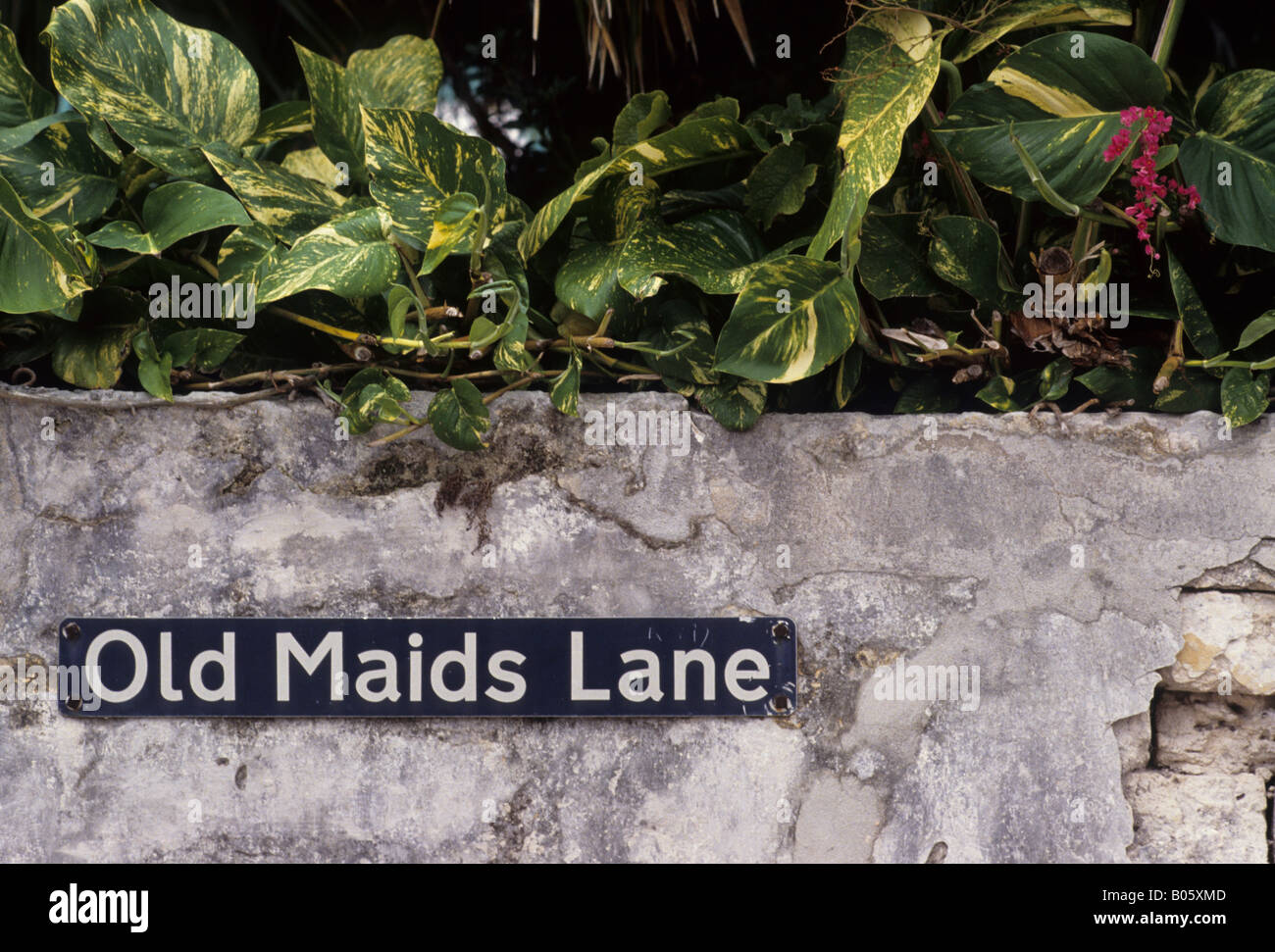 Old Maids Lane street sign, St George's, Bermuda Stock Photo