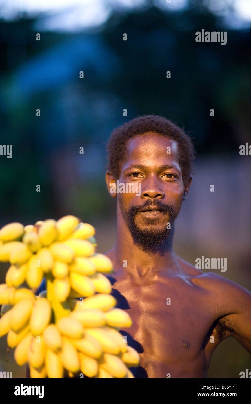 Banana platation St Lucia Local man Stock Photo Alamy