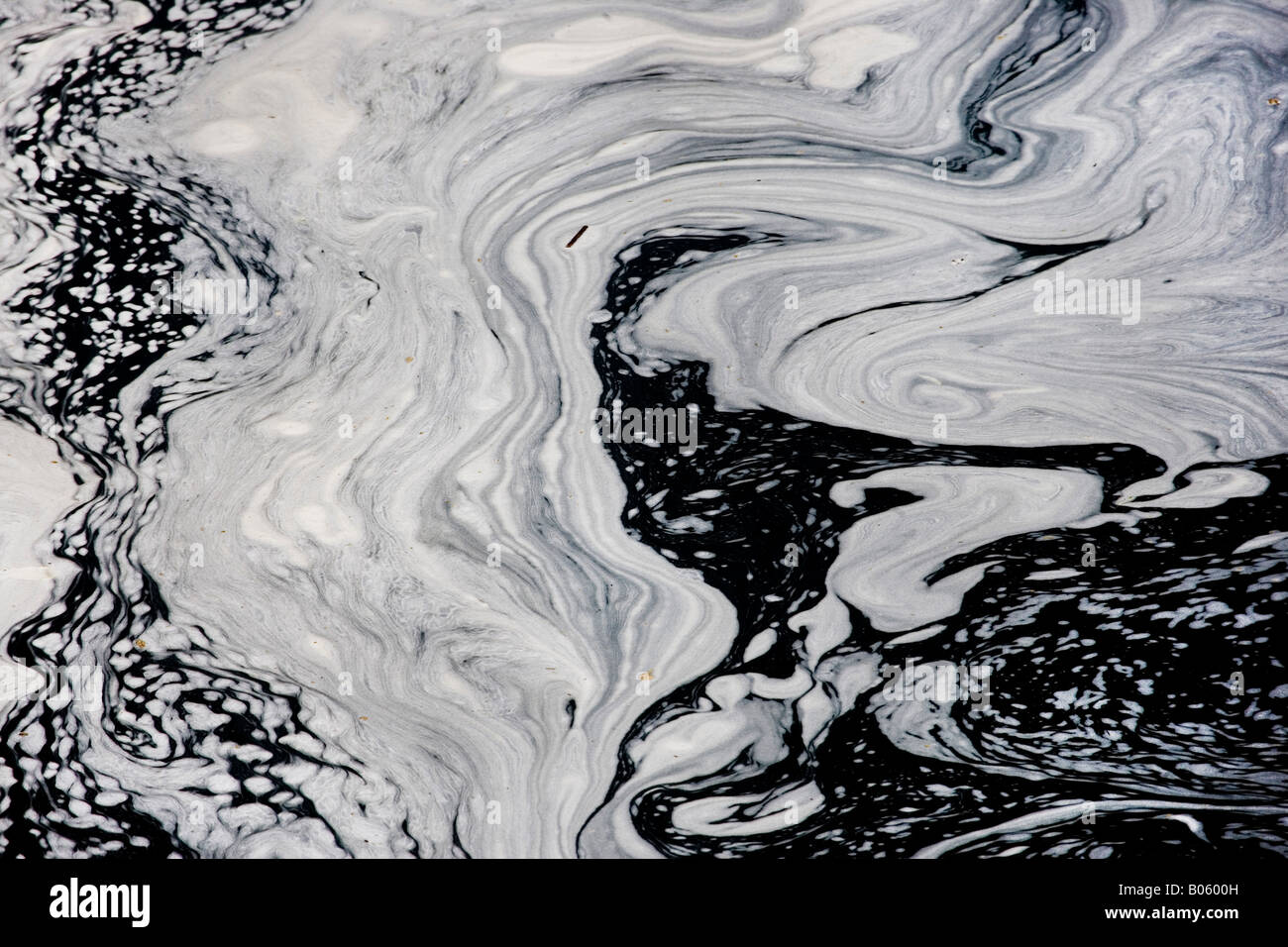 Hot mud pools boiling on the surface at Wai O Tapu Sacred Waters, Rotorua area, North Island, New Zealand Stock Photo