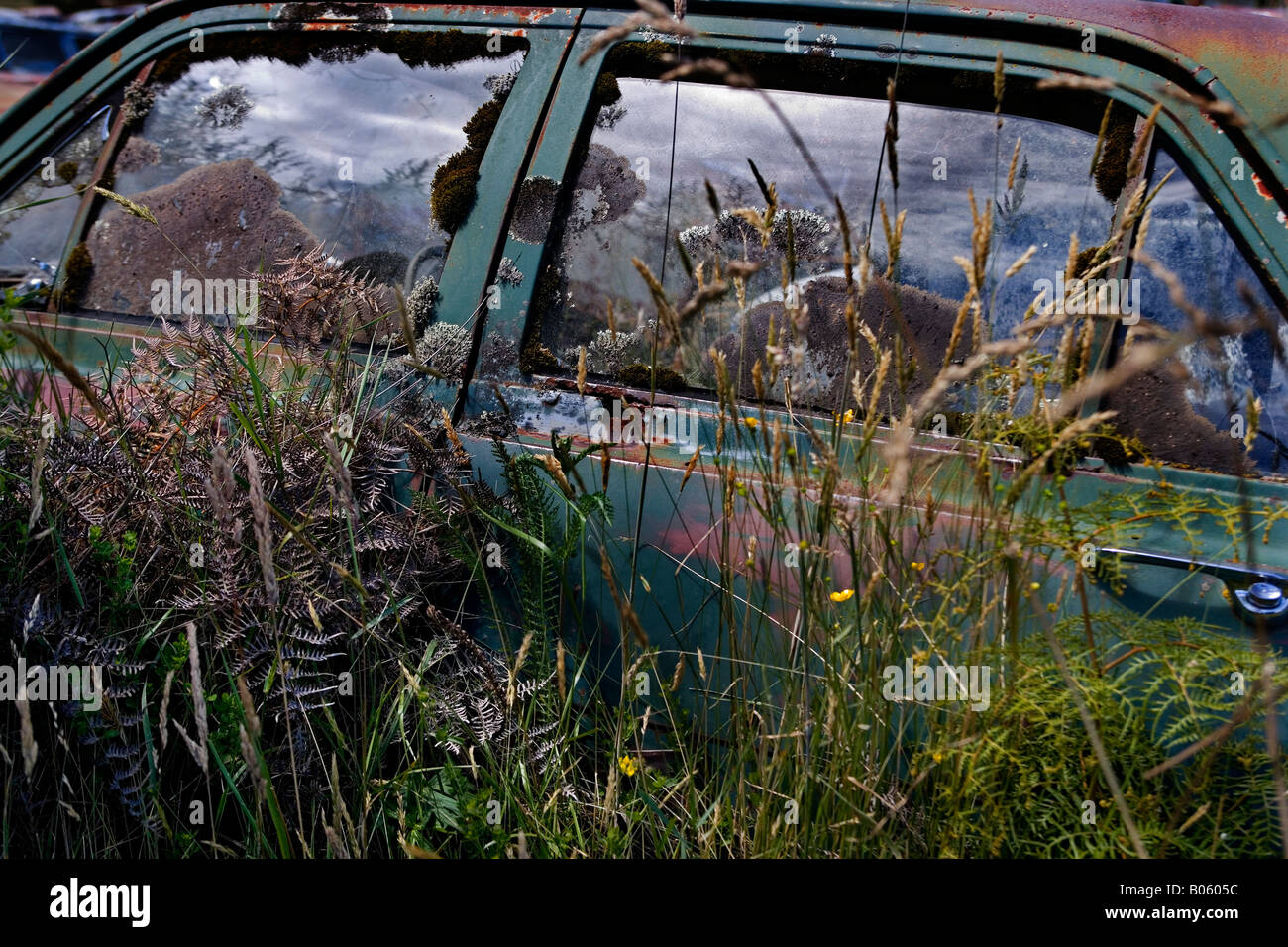 rusting car, overgrown with grass and weeds Stock Photo