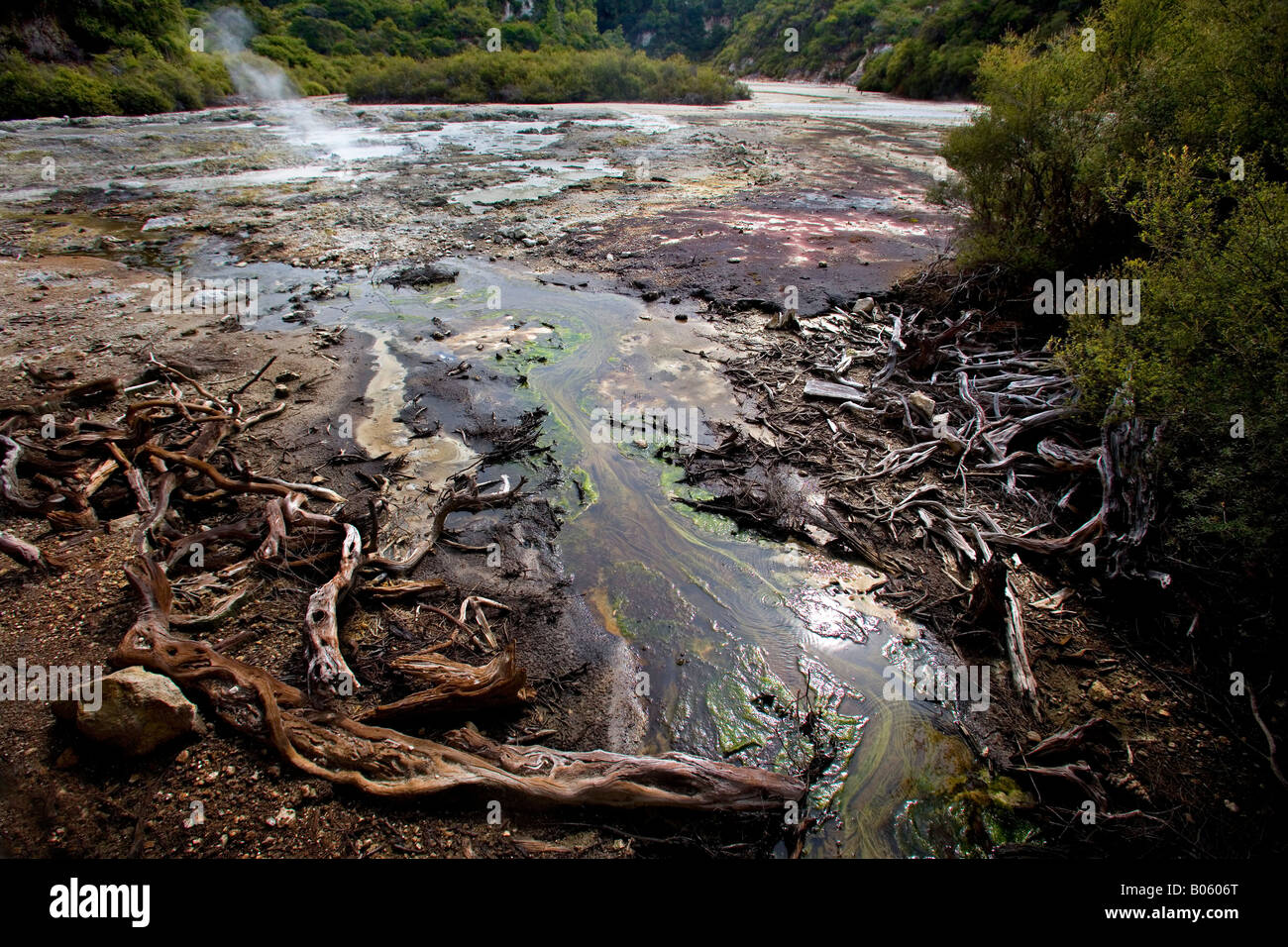 sulphur water