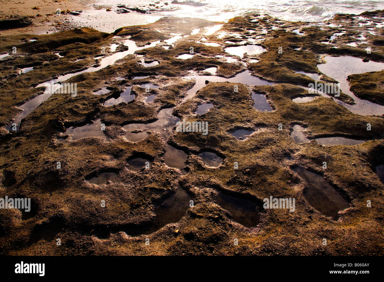 Rock pools reflecting the evening sunlight on the shore of Goat Island marine reserve, Leigh, New Zealand. Stock Photo