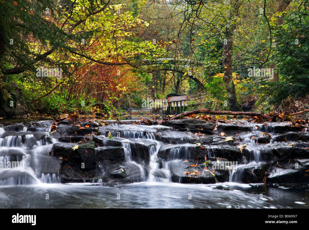 Waterfall at Jesmond Dene Newcastle upon Tyne Stock Photo Alamy
