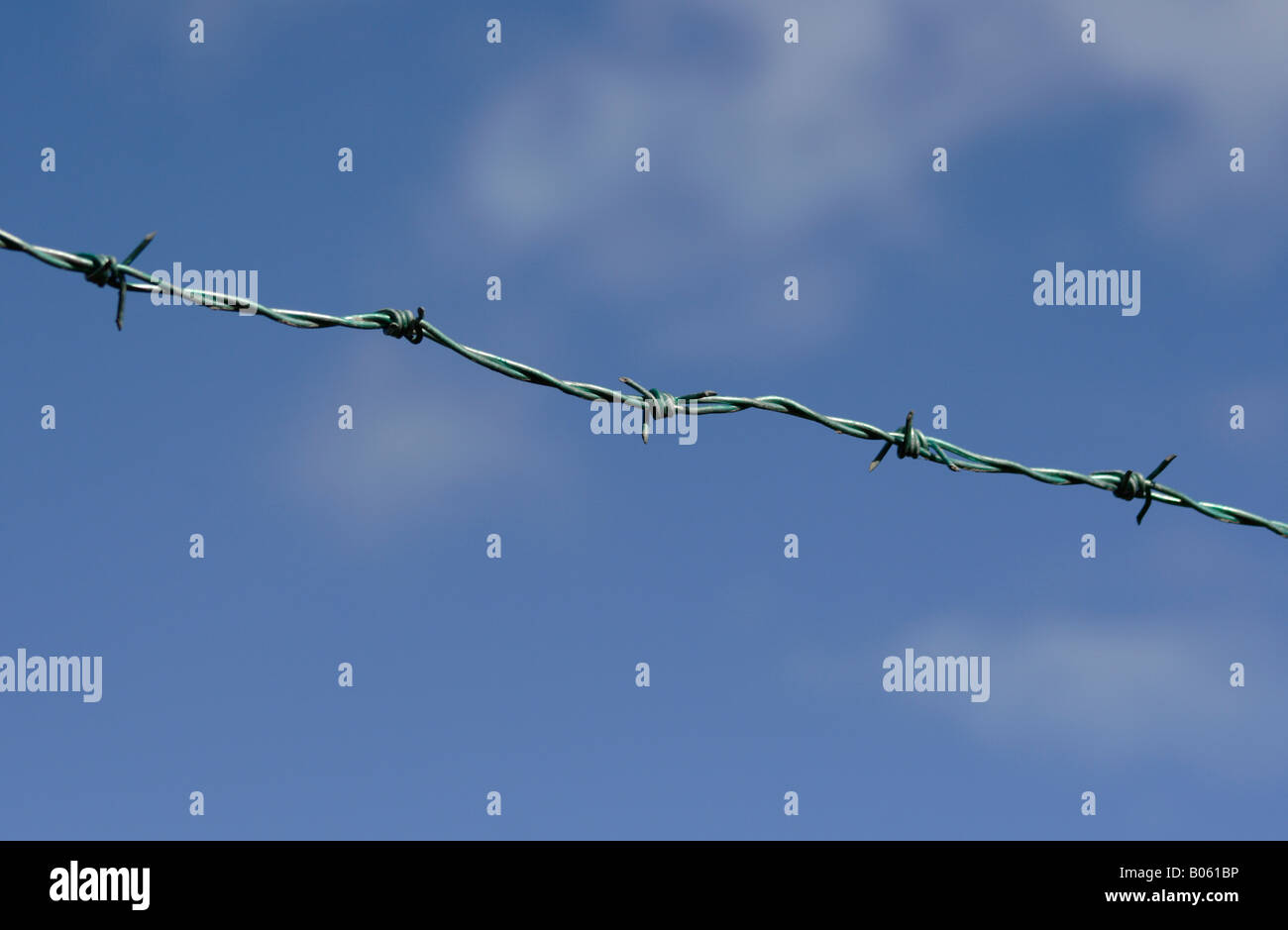 Barbed Wire against blue sky Stock Photo - Alamy