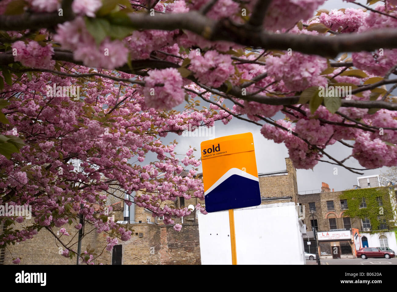 a 'house sold' board next to a blossom tree in london Stock Photo