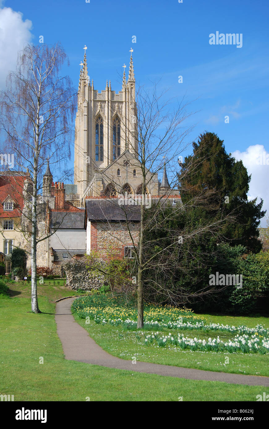 St Edmundsbury Cathedral from Abbey Gardens, Bury St Edmunds, Suffolk, England, United Kingdom Stock Photo