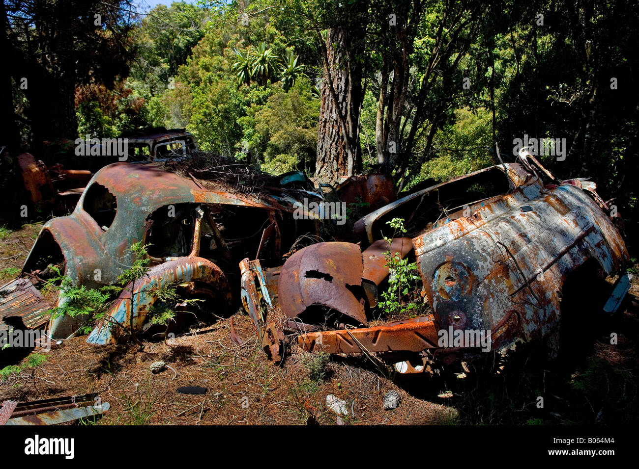 Smashed cars hi-res stock photography and images - Alamy