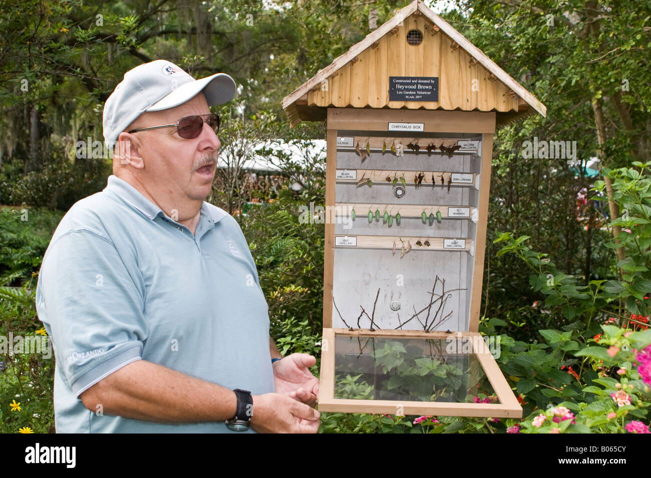 Volunteer talking about butterfly chrysalis box Harry P Leu Gardens Orlando FL Stock Photo
