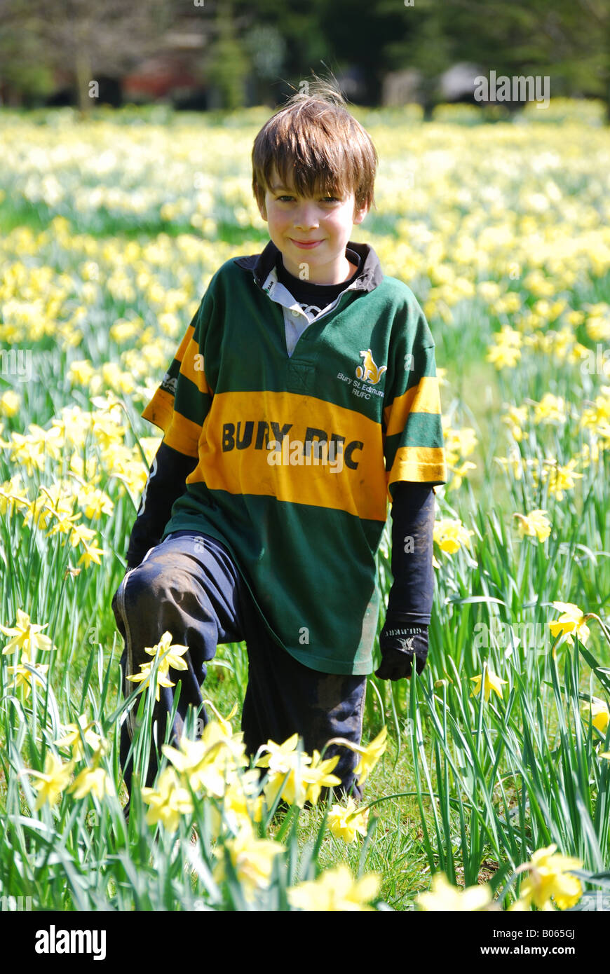 Young boy in field of daffodils, Bury St Edmunds, Suffolk, England, United Kingdom Stock Photo