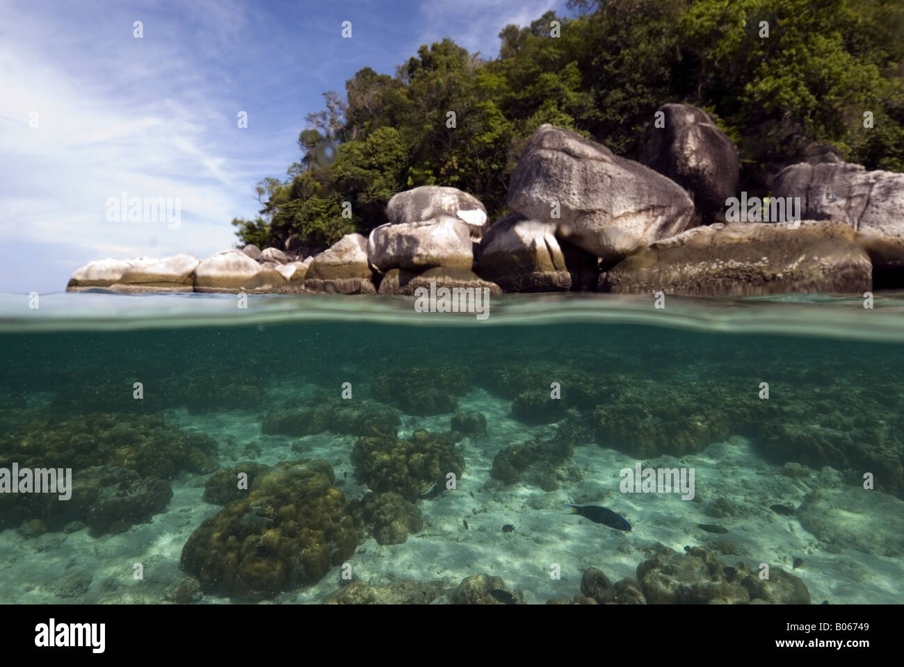 Over Under Shot Of A Coral Reef In Crystal Clear Water And A