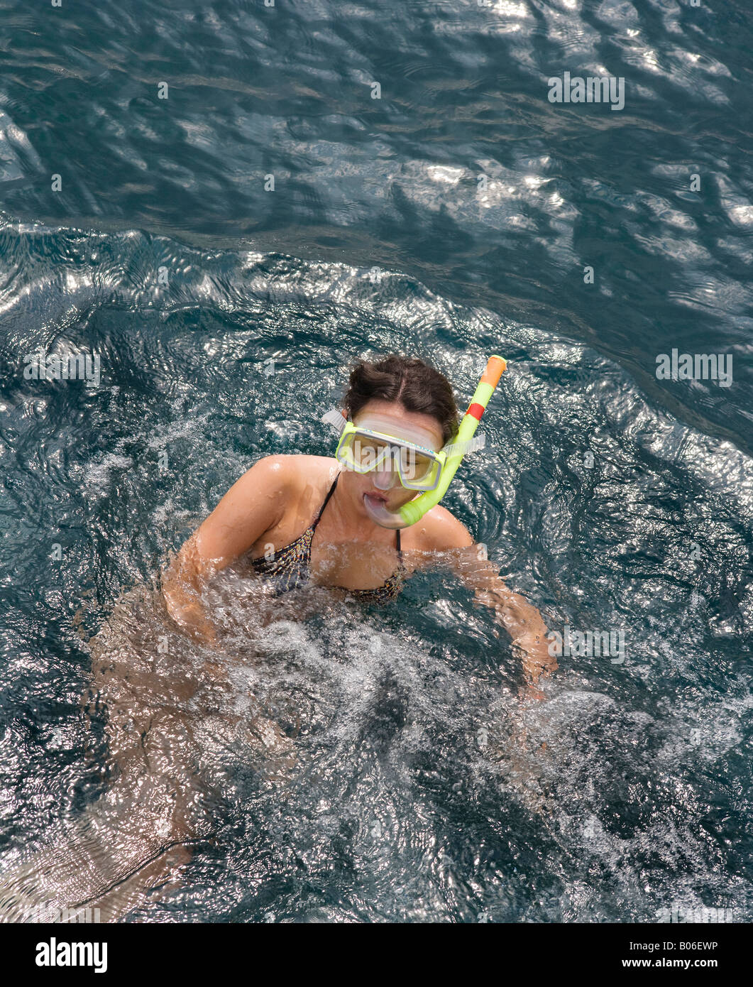 Skin diving hires stock photography and images Alamy