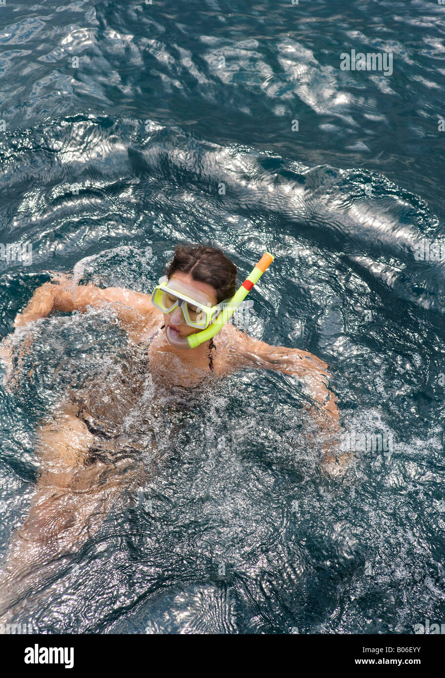 Skin diving hires stock photography and images Alamy