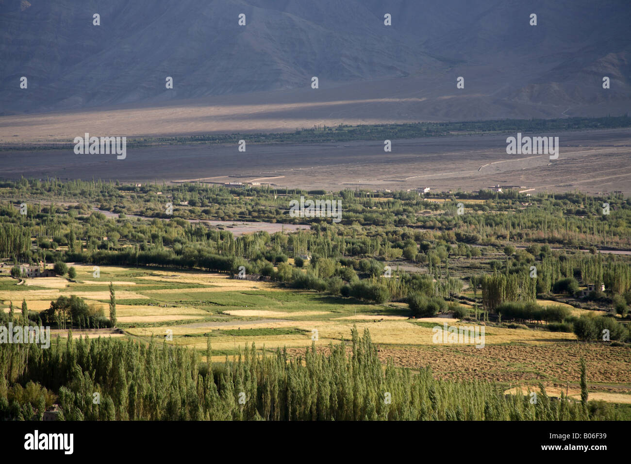 Rural light india hi-res stock photography and images - Alamy