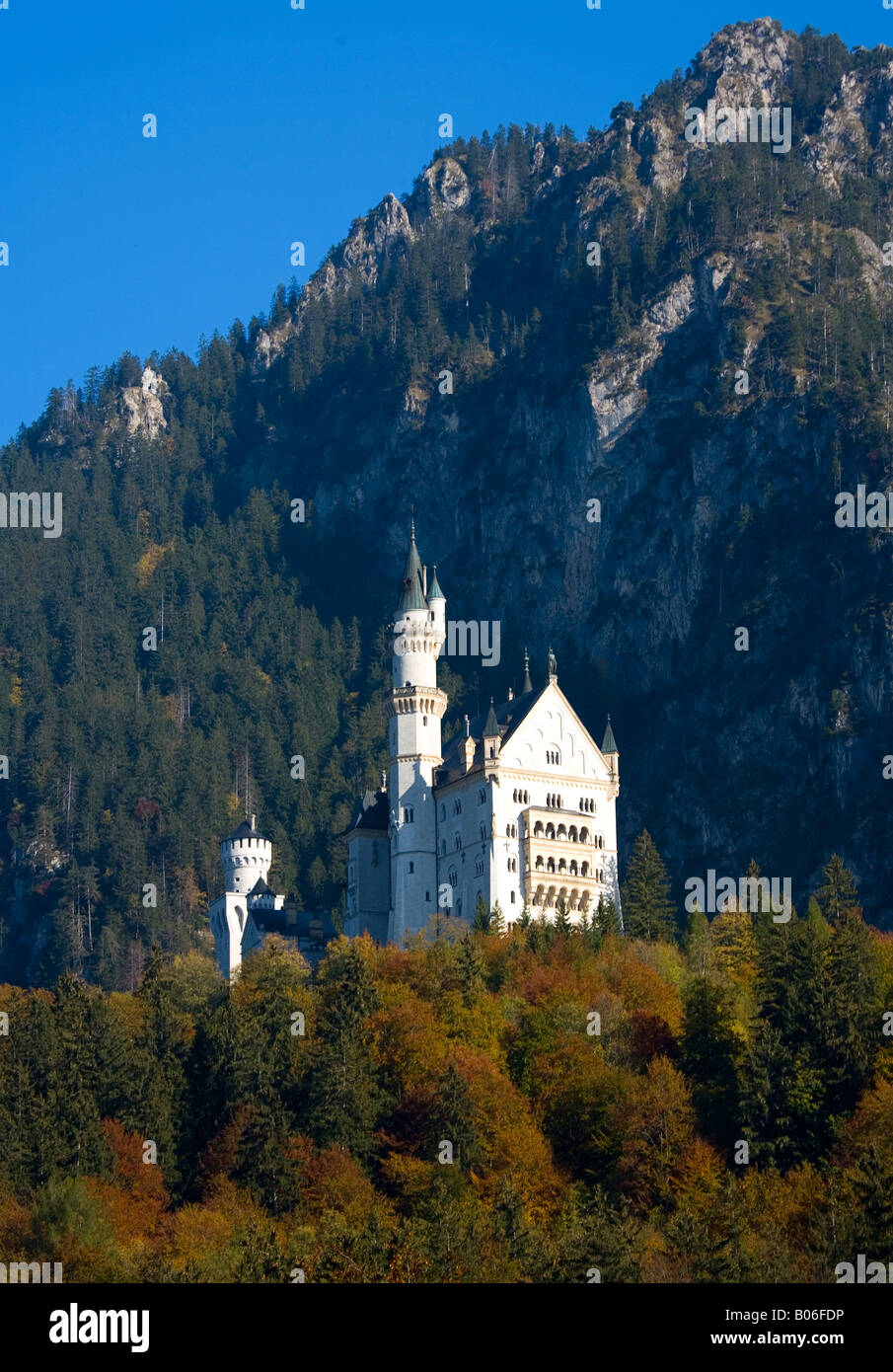 Neuschwanstein Castle at fall Bavaria Germany Stock Photo