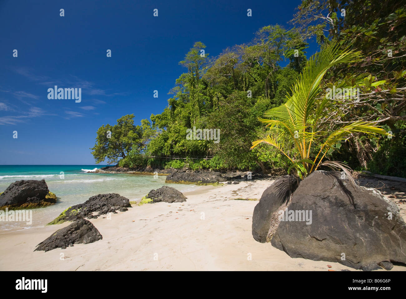 Panama, Bocas del Toro Province, Bastimentos Island (Isla Bastimentos) Red Frog Beach Stock Photo