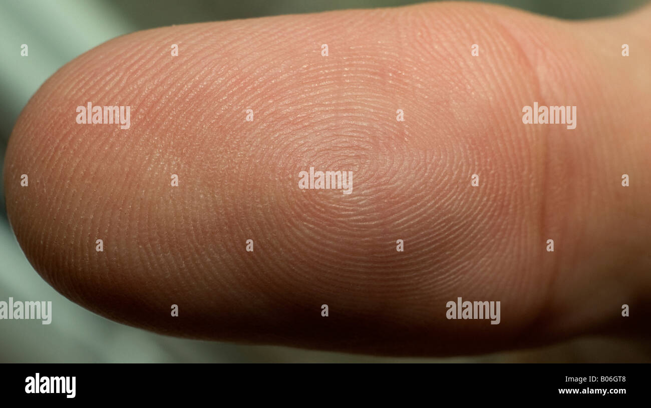 A High detail close-up of a fingerprint (actually the thumb) for use to illustrate crime and genetics Stock Photo