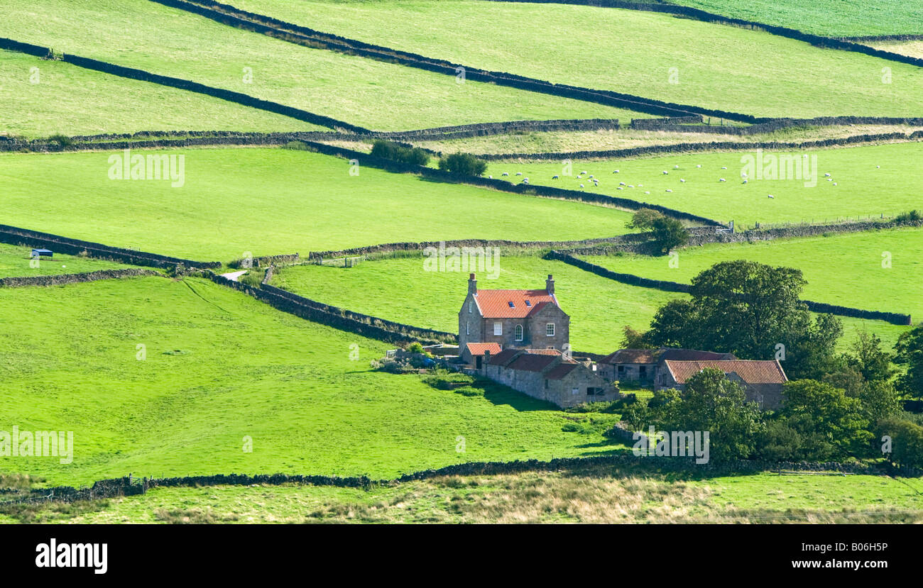 Farm and fields in Great Fryupdale valley, North York Moors National Park. Stock Photo