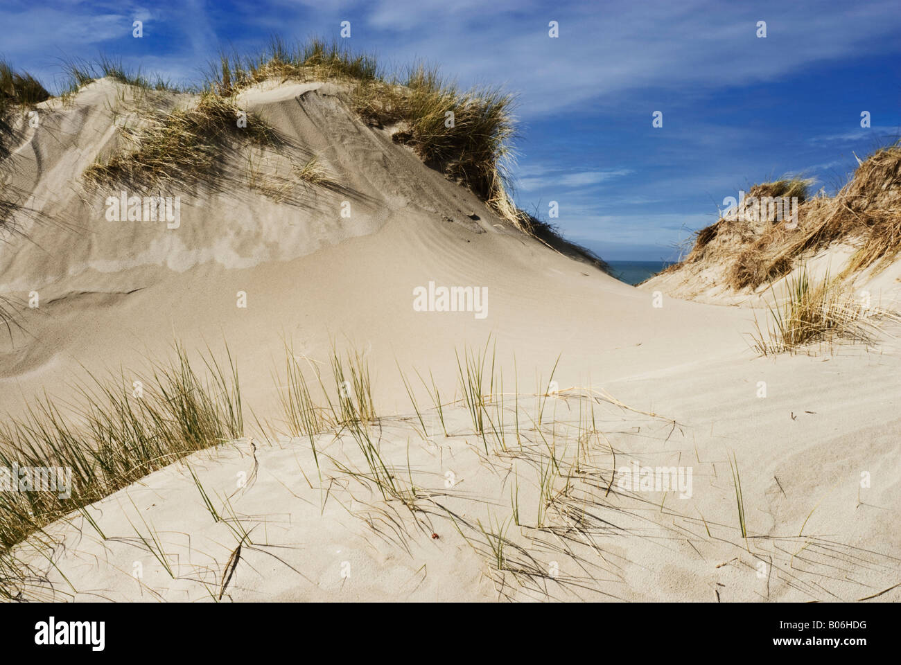 Sand dunes, De Panne, Belgium Stock Photo - Alamy