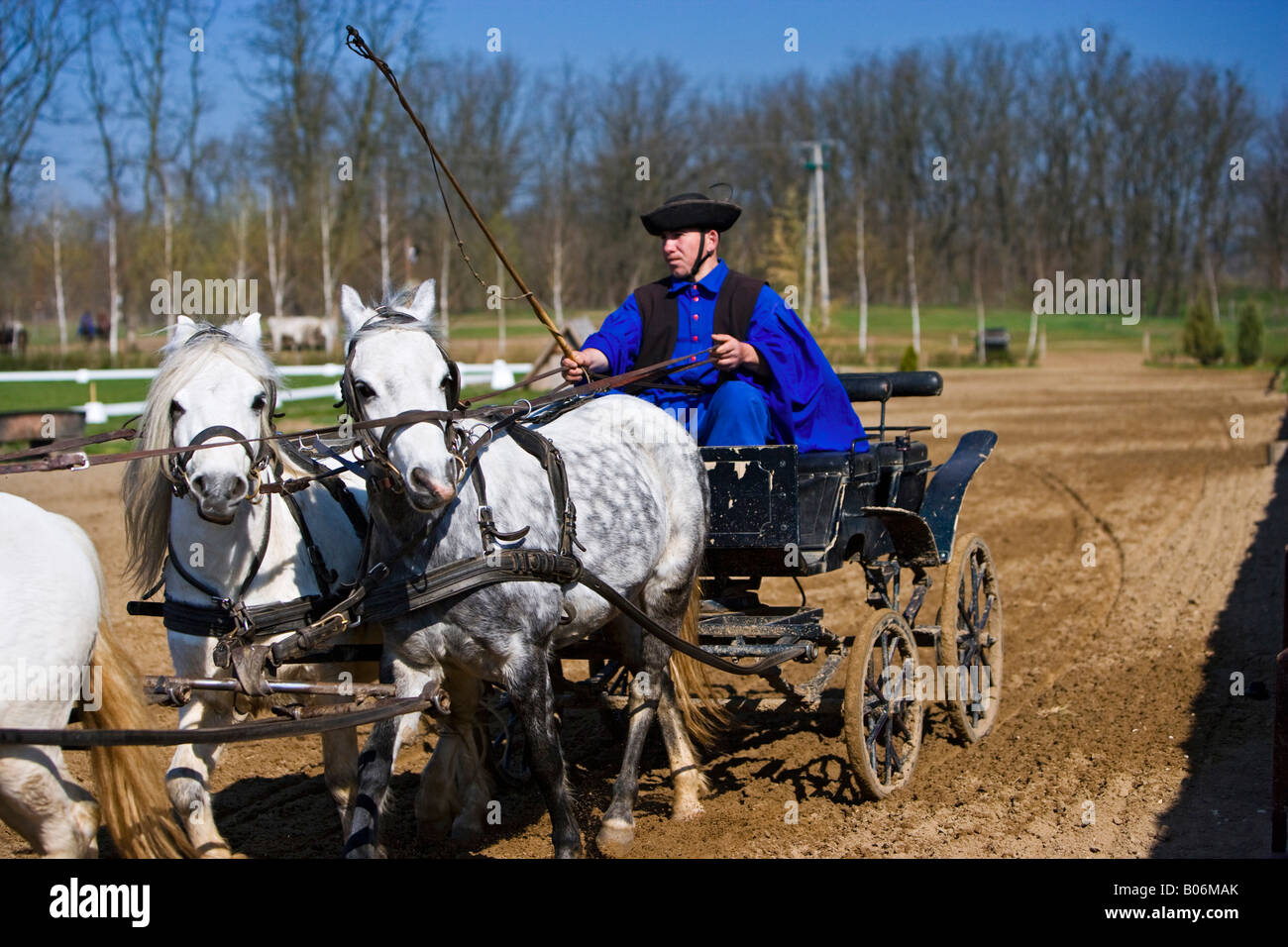 A horse show at the' LAZAR Equestrian Park' showing the riding skills