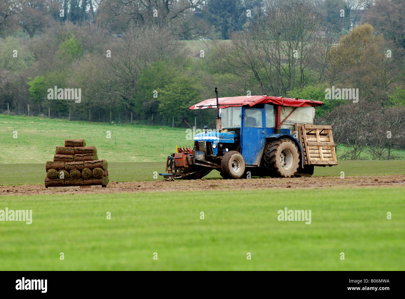Commercial turf cutting, UK Stock Photo