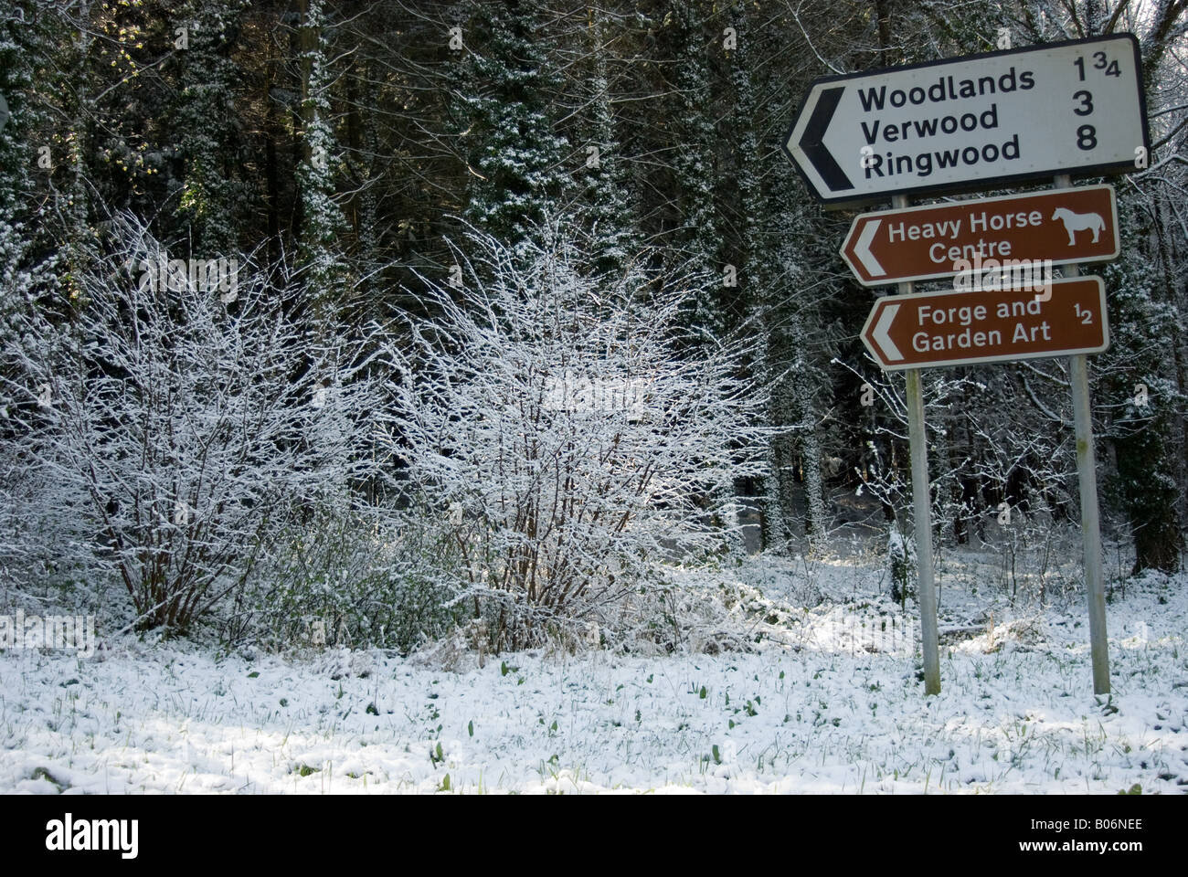 Roadsigns in the snow - New Forrest, Hampshire, England Stock Photo