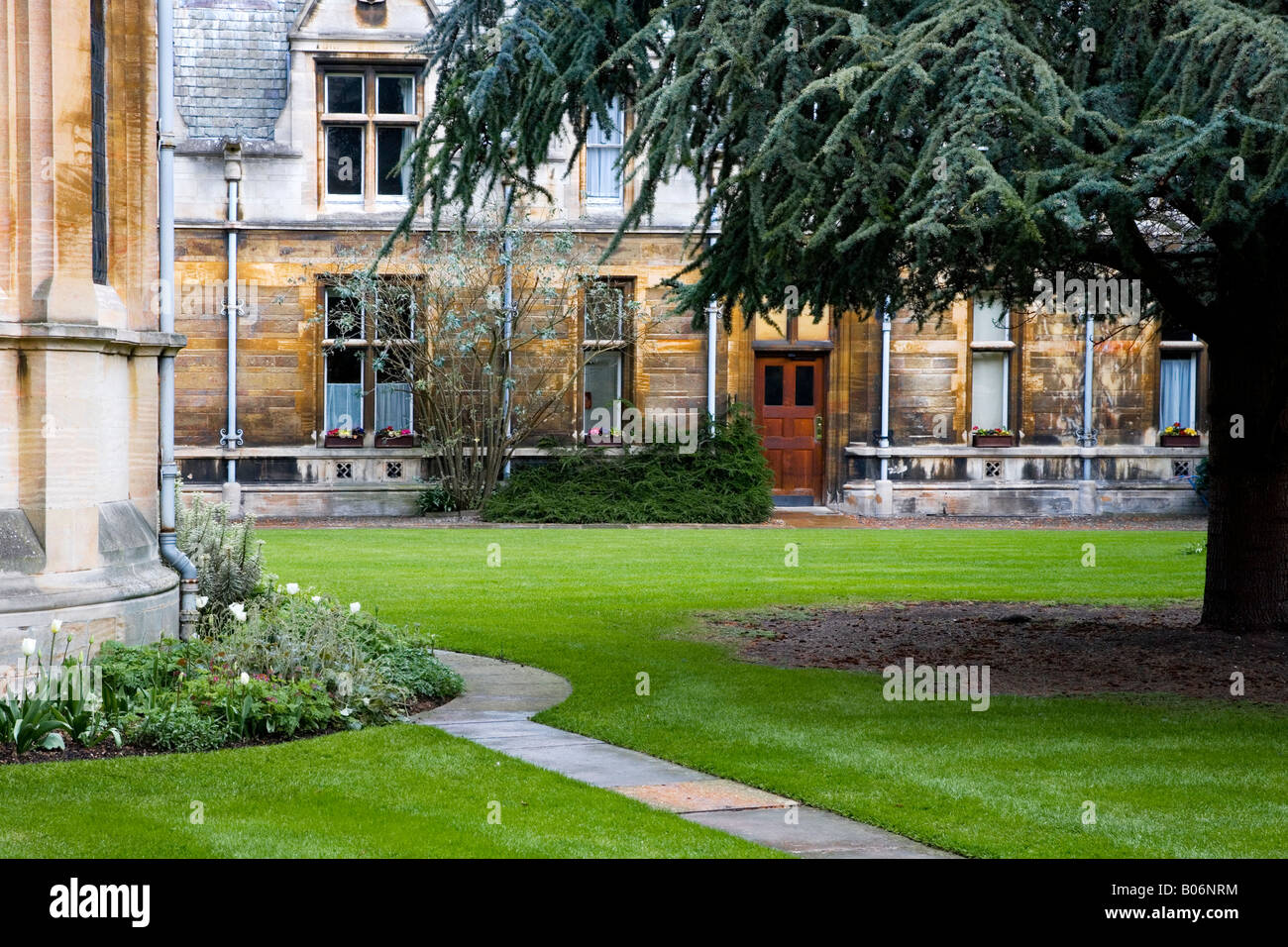 Part of the Quad known as the Tree Court at Gonville and Caius College, Cambridge University, Cambridge, England, UK Stock Photo